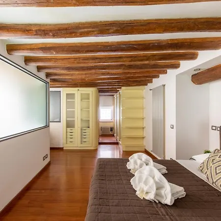 Iflat Spacious And Unique Loft In Trastevere * Roma